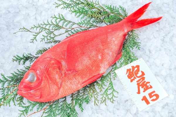 鮑屋　キンメダイ（神奈川県小田原産）