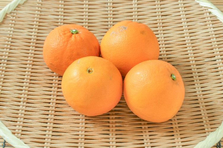 ネーブルオレンジ（2L）1kg