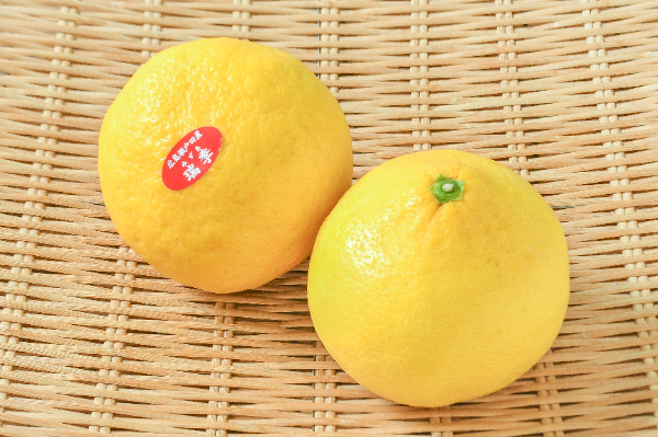 黄金柑（M） 【業務用食材の仕入れなら八面六臂】