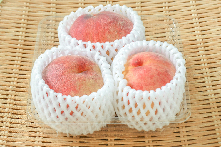 加納岩白桃 【業務用食材の仕入れなら八面六臂】