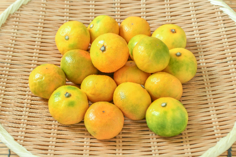 みかん（B品）（つぶし用） 【業務用食材の仕入れなら八面六臂】