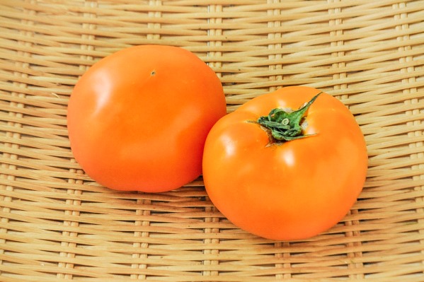 オレンジトマト（マンゴートマト）