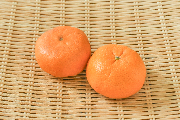 レッドウインク（2L）