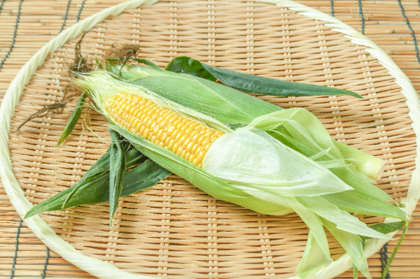 味来（16本サイズ）