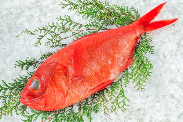 三崎黒潮キンメ