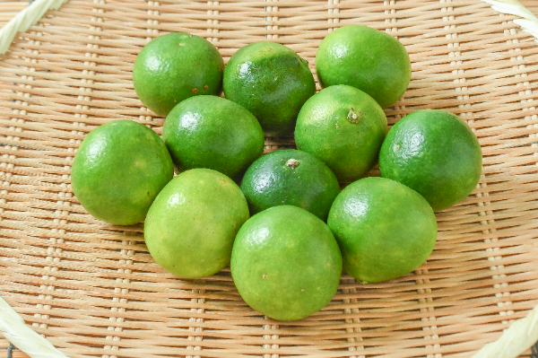 だいだい（BL）1kg