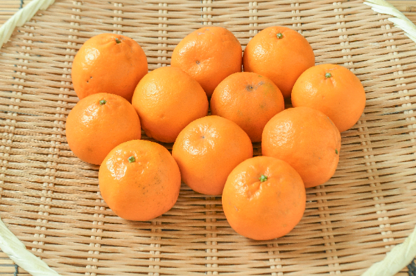 ポンカン（S）（青秀）1kg