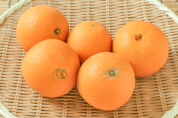 みかん 【業務用食材の仕入れなら八面六臂】