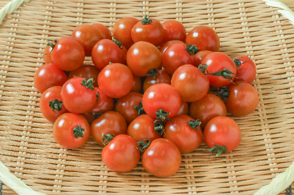 アイコトマト（オレンジ） 【業務用食材の仕入れなら八面六臂】