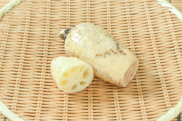 れんこん（M）500gr
