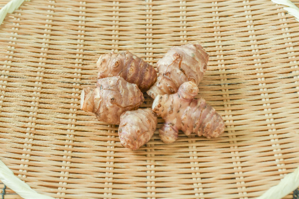 菊芋（赤）（小）