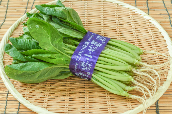 小松菜（束）