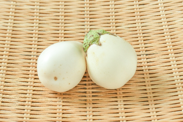 （神奈川県）純白茄子（15玉サイズ）