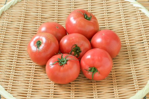 シュガートマト 【業務用食材の仕入れなら八面六臂】