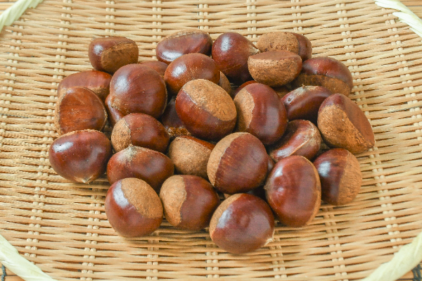 中山栗（4Lサイズ） 【業務用食材の仕入れなら八面六臂】