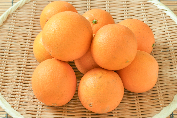 ネーブルオレンジ（72玉サイズ）（B品） 【業務用食材の仕入れなら