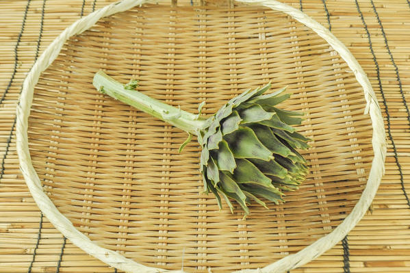 アーティーチョーク 八面六臂