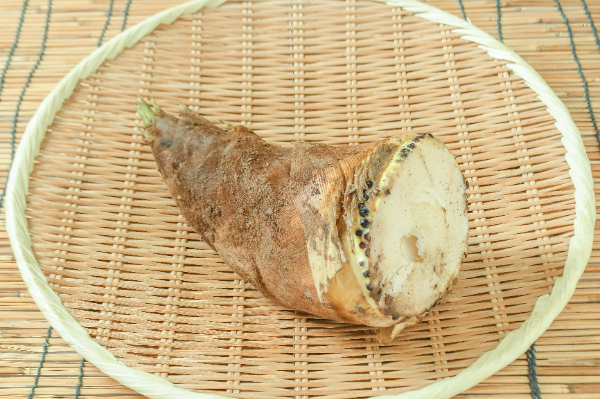 たけのこ（M） 【業務用食材の仕入れなら八面六臂】