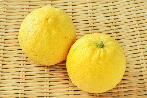 イチャンレモン