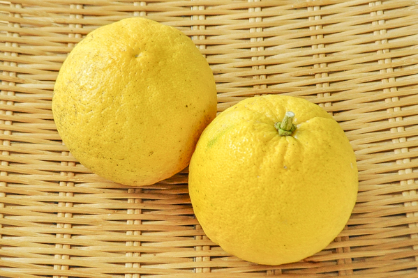 イチャンレモン 八面六臂