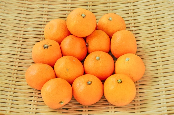 賢太郎みかん 【業務用食材の仕入れなら八面六臂】