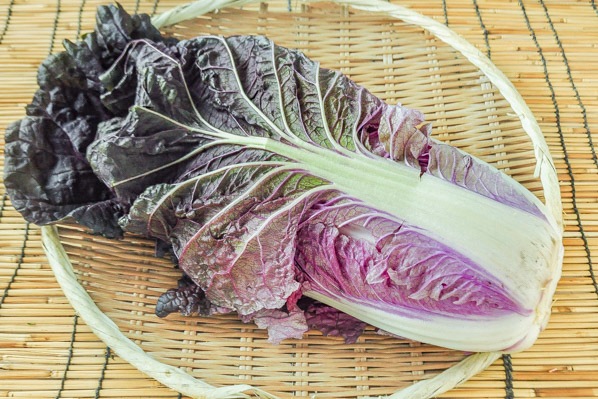 紫白菜（5玉サイズ）