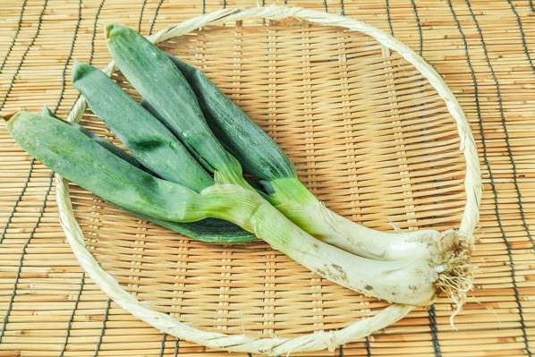 【宮城県産】長ねぎ A.B級品（M.Lサイズ）15kg 楽天市場】国産長ねぎ 5kg 箱 M〜2Lサイズ｜埼玉・茨城・千葉・群馬県