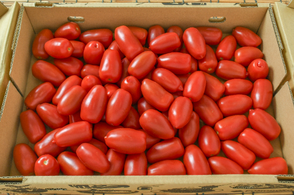 イタリアントマト（サンマルツァーノ）箱3kg