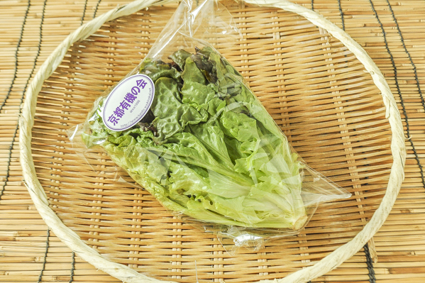 越川さんのリーフレタス 生育期間中農薬不使用 八面六臂