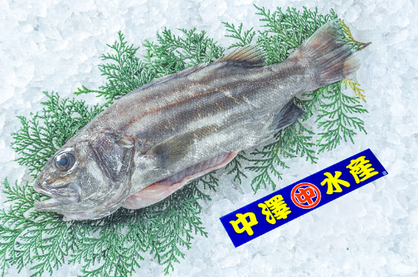 スバル サンバートラックをレインブーツネイビーで刷毛塗り全塗装！ - 刷毛（ハケ）・ローラーで車をDIYで全塗装しよう！ 昴様専用　4kg