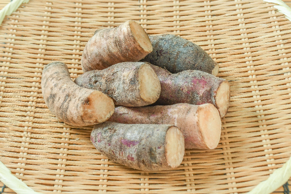 ヤーコン【業務用食材の仕入れなら八面六臂】