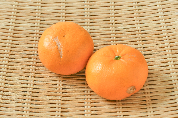 はれひめ（3L）（青秀）