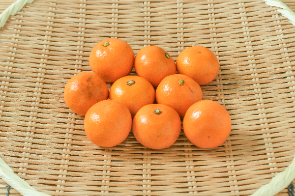 仏手柑（ぶっしゅかん） 【業務用食材の仕入れなら八面六臂】