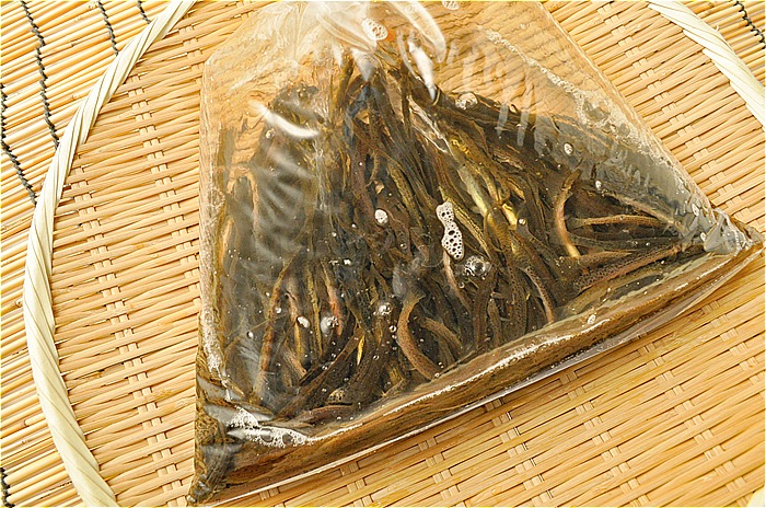 活ドジョウ 風船梱包 八面六臂