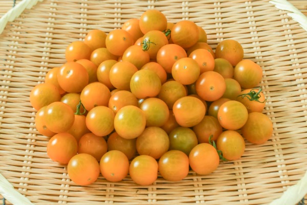 ミニトマト（黄）（サイズ混み）１kg