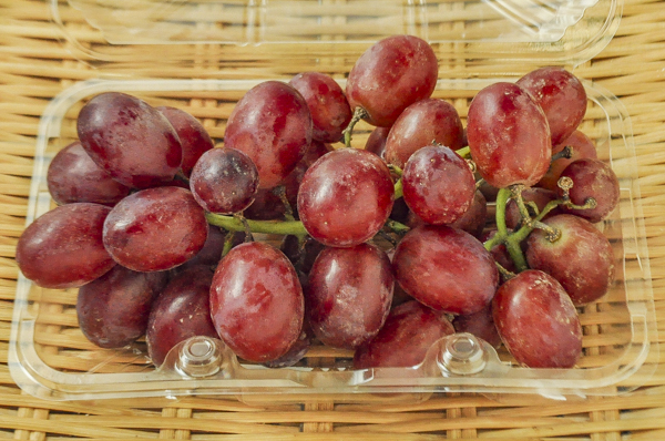 赤ぶどう ジャックサルーテ 種無し 八面六臂