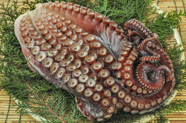 ボイル水タコ足