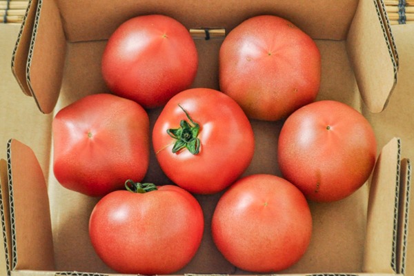 トマト（小箱）1kg