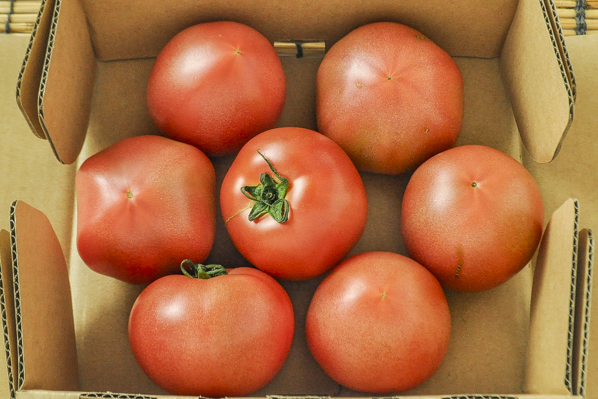 トマト（小箱）1kg