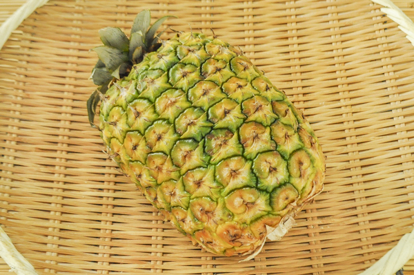 葉無しパイナップル 10玉サイズ 八面六臂