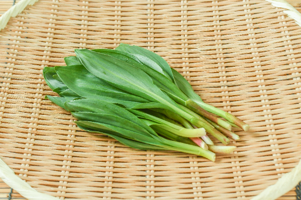 行者にんにく（S）50gr
