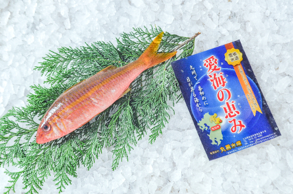 愛海の恵み（丸昌水産）アカヒメジ（大分県佐伯産）