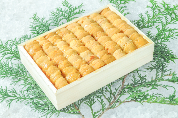 ムラサキウニ（A並び）