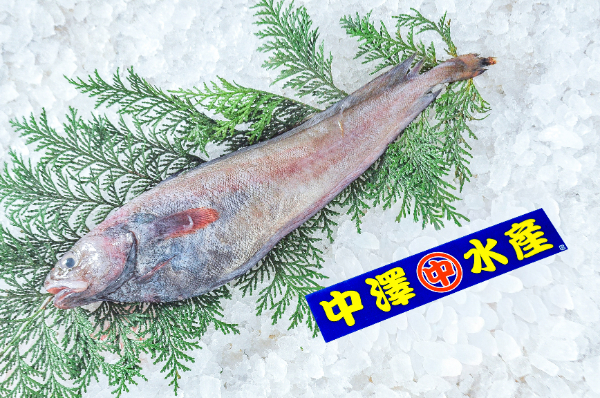 中澤水産　ドンコ（エゾイソアイナメ）