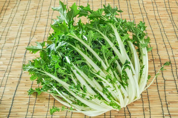 京菜