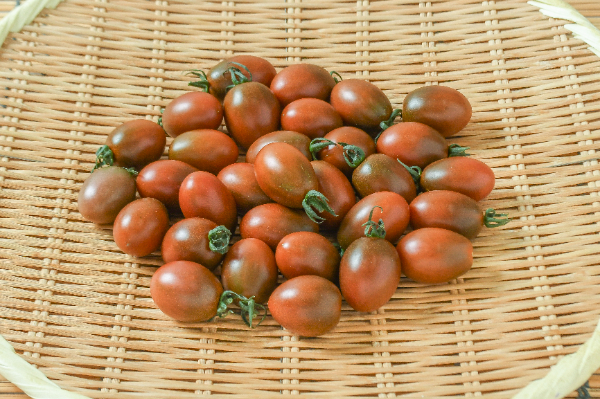 めぐりとまと 潤（M） 【業務用食材の仕入れなら八面六臂】