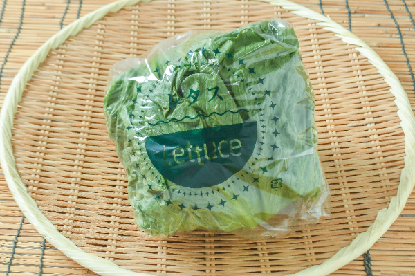 伊藤さんのレタス