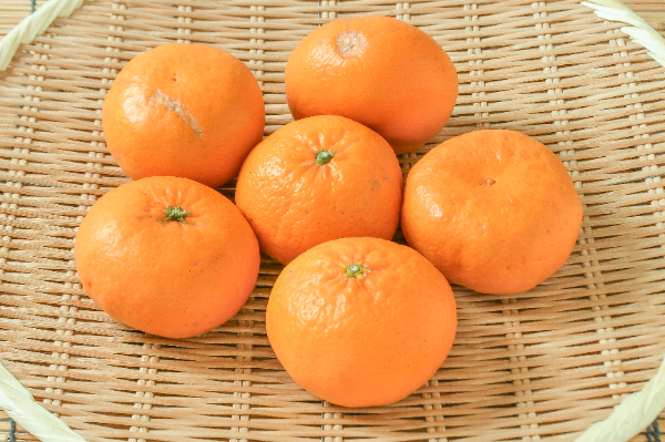 はれひめ（3L）（青秀）