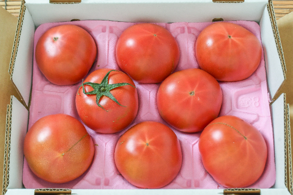 フルーツトマト（8玉）