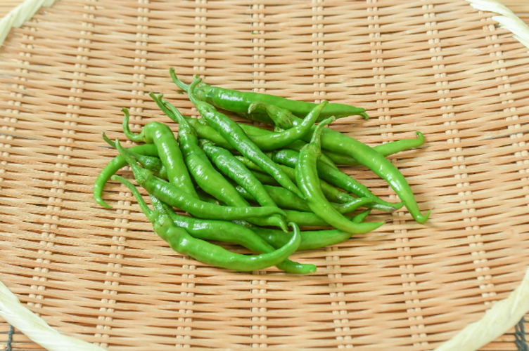 青とうがらし（B）100gr